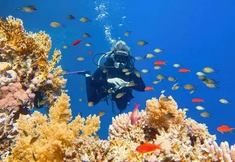 Scuba Diving From Hurghada
