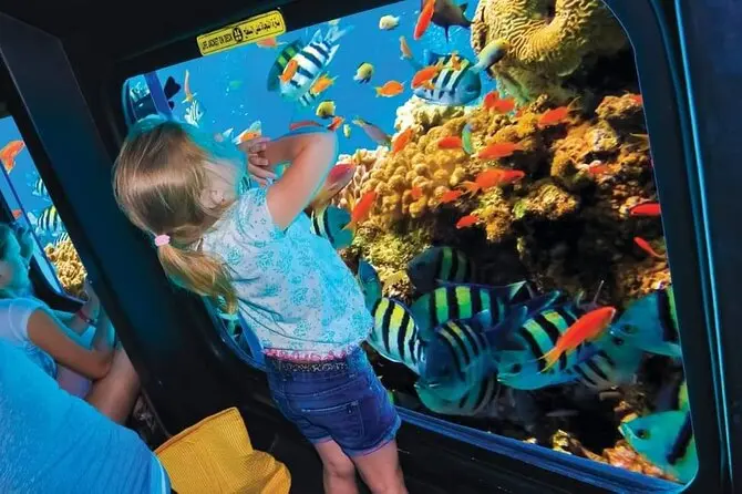 Hurghada Grand Aquarium Visit