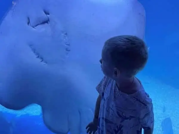 Hurghada Grand Aquarium Visit