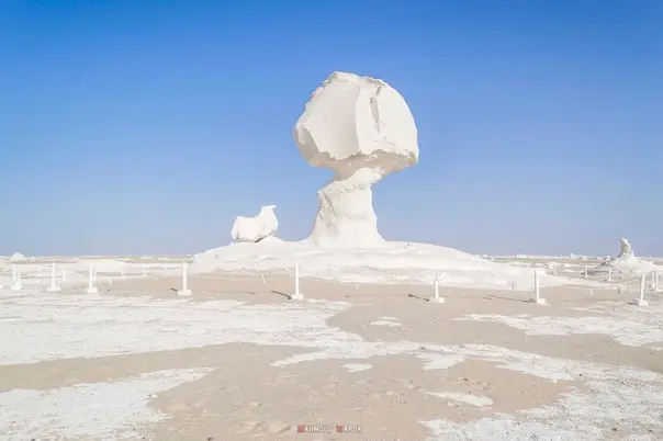 3-Day Tour to Bahariya Oasis and the White Desert from Cairo