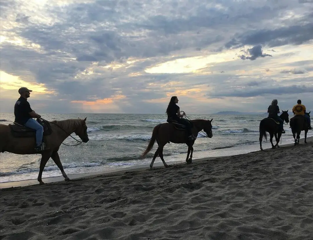 Horse riding Hurghada